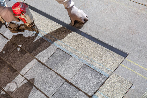 Best Roof Insulation Installation  in Onarga, IL